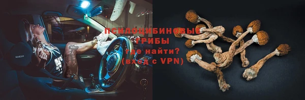 первитин Лабытнанги