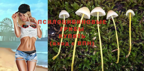 мдма Лагань