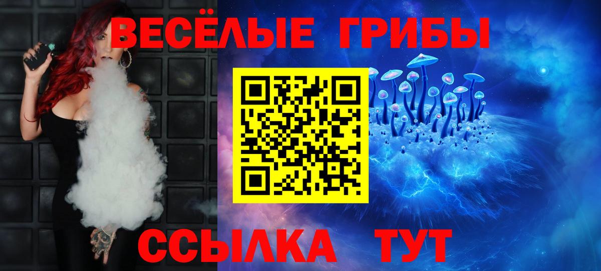 Галлюциногенные грибы Psilocybe Мончегорск
