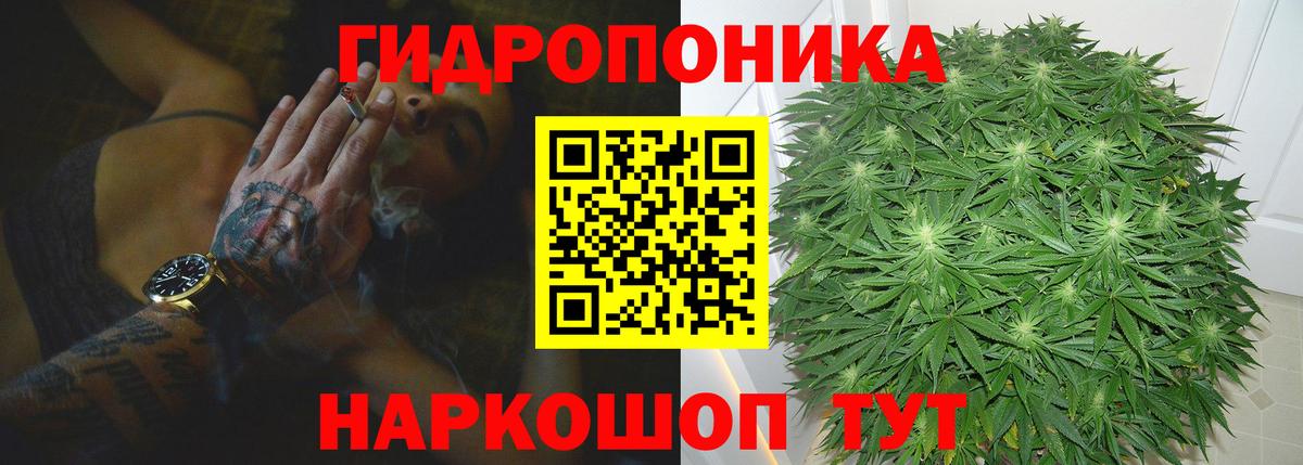 Марихуана White Widow Мончегорск